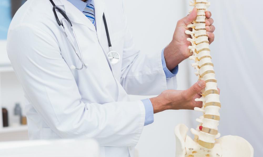spine