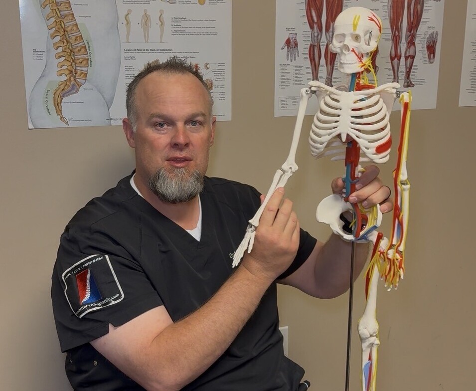Dr. Brennan Bates explaining musculoskeletal anatomy at Better Chiropractic in Gilbert, Arizona